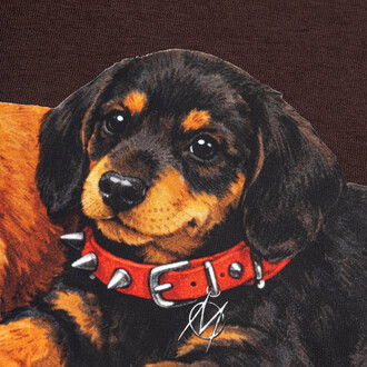 Bluza Puppy