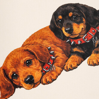 Bluza Puppy