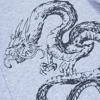 Szorty Dragon