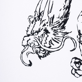 Koszulka Dragon