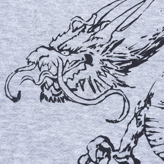 Bluza Rozpinana Dragon