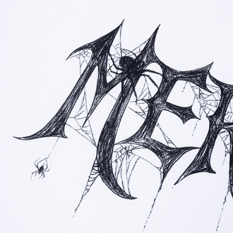 Longsleeve Spider